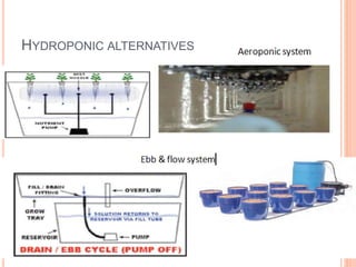 HYDROPONIC ALTERNATIVES
 