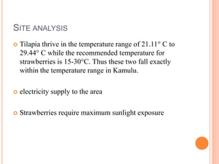 SITE ANALYSIS
 Tilapia thrive in the temperature range of 21.11° C to
29.44° C while the recommended temperature for
strawberries is 15-30°C. Thus these two fall exactly
within the temperature range in Kamulu.
 electricity supply to the area
 Strawberries require maximum sunlight exposure
 