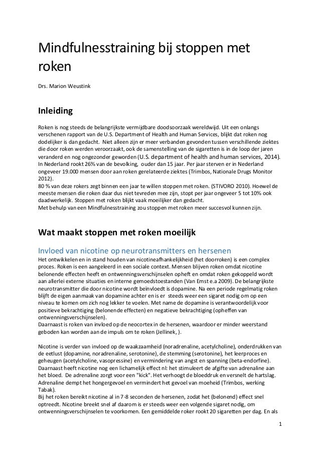 Essay voorbeelden