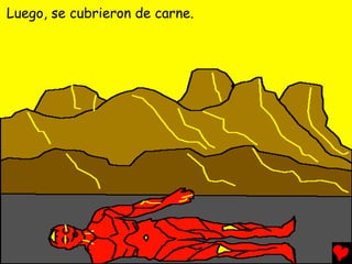 Luego, se cubrieron de carne.
 