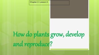 How do plants grow, develop
and reproduce?
Chapter 2: Lesson 2:
 