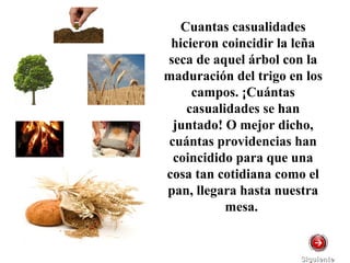 Cuantas casualidades
hicieron coincidir la leña
seca de aquel árbol con la
maduración del trigo en los
campos. ¡Cuántas
casualidades se han
juntado! O mejor dicho,
cuántas providencias han
coincidido para que una
cosa tan cotidiana como el
pan, llegara hasta nuestra
mesa.
SiguienteSiguiente
 