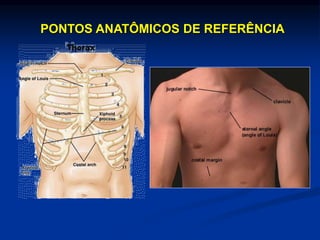 PONTOS ANATÔMICOS DE REFERÊNCIA
 