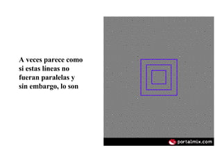 A veces parece como si estas líneas no fueran paralelas y sin embargo, lo son 