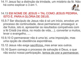 14.11 Jesus faz a distinção da trindade, um mistério da fé. Não 
há como explicar o 3 em 1.
14.13 EM NOME DE JESUS = TAL COMO JESUS PEDIRIA, 
ISTO É, PARA A GLÓRIA DE DEUS.
15.5-7 Ser discípulo de Jesus não é só um início, envolve um 
processo de continuidade, deve permanecer, prosseguir, e 
dar frutos, isto é, apresentar os resultados compatíveis com 
a fé Cristã (na ética, no modo de vida,...), converter a muitos, 
levar o evangelho, ....
15.9,10 O permanecer não é uma lei, uma imposição, mas 
uma opção de obediência espontânea.
15.12 Jesus não exige sacrifícios, mas amar aos outros.
15.16 Quem começa o processo de salvação é Deus, o que 
não exclui nossa participação, temos de crer e permanecer.
 