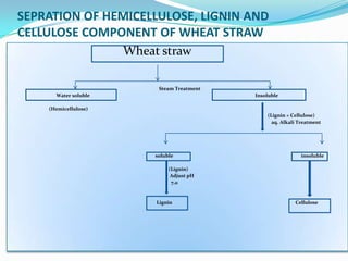 METHODOLOGYLignocellulosic materialPre - treatmentHydrolysisFermentationEthanol