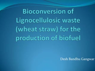 Bioconversion of      Lignocellulosic waste     (wheat straw) for the production of biofuel Desh Bandhu Gangwar 