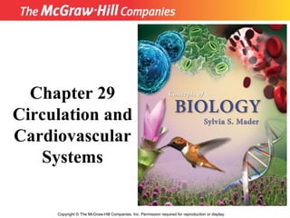 Copyright  ©  The McGraw-Hill Companies, Inc. Permission required for reproduction or display. Chapter 29 Circulation and Cardiovascular Systems 