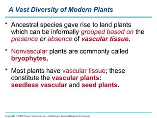 Copyright © 2008 Pearson Education, Inc., publishing as Pearson Benjamin Cummings
• Ancestral species gave rise to land plants
which can be informally grouped based on the
presence or absence of vascular tissue.
• Nonvascular plants are commonly called
bryophytes.
• Most plants have vascular tissue; these
constitute the vascular plants:
seedless vascular and seed plants.
A Vast Diversity of Modern Plants
 