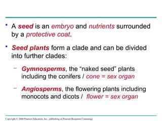 Copyright © 2008 Pearson Education, Inc., publishing as Pearson Benjamin Cummings
• A seed is an embryo and nutrients surrounded
by a protective coat.
• Seed plants form a clade and can be divided
into further clades:
– Gymnosperms, the “naked seed” plants
including the conifers / cone = sex organ
– Angiosperms, the flowering plants including
monocots and dicots / flower = sex organ
 