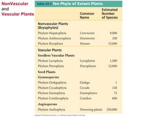 NonVascular
and
Vascular Plants
 