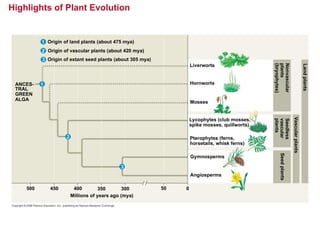 Highlights of Plant Evolution
Origin of land plants (about 475 mya)
1
2
3
1
2
3
Origin of vascular plants (about 420 mya)
Origin of extant seed plants (about 305 mya)
ANCES-
TRAL
GREEN
ALGA
Liverworts
Hornworts
Mosses
Lycophytes (club mosses,
spike mosses, quillworts)
Pterophytes (ferns,
horsetails, whisk ferns)
Gymnosperms
Angiosperms
Seed
plants
Seedless
vascular
plants
Nonvascular
plants
(bryophytes)
Land
plants
Vascular
plants
Millions of years ago (mya)
500 450 400 350 300 50 0
 