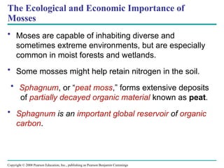 Copyright © 2008 Pearson Education, Inc., publishing as Pearson Benjamin Cummings
The Ecological and Economic Importance of
Mosses
• Moses are capable of inhabiting diverse and
sometimes extreme environments, but are especially
common in moist forests and wetlands.
• Some mosses might help retain nitrogen in the soil.
• Sphagnum, or “peat moss,” forms extensive deposits
of partially decayed organic material known as peat.
• Sphagnum is an important global reservoir of organic
carbon.
 