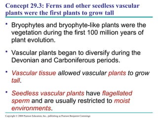 Copyright © 2008 Pearson Education, Inc., publishing as Pearson Benjamin Cummings
Concept 29.3: Ferns and other seedless vascular
plants were the first plants to grow tall
• Bryophytes and bryophyte-like plants were the
vegetation during the first 100 million years of
plant evolution.
• Vascular plants began to diversify during the
Devonian and Carboniferous periods.
• Vascular tissue allowed vascular plants to grow
tall.
• Seedless vascular plants have flagellated
sperm and are usually restricted to moist
environments.
 