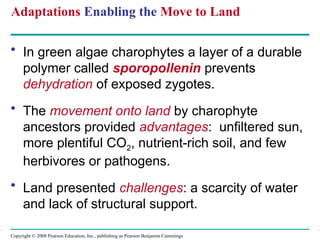 Copyright © 2008 Pearson Education, Inc., publishing as Pearson Benjamin Cummings
Adaptations Enabling the Move to Land
• In green algae charophytes a layer of a durable
polymer called sporopollenin prevents
dehydration of exposed zygotes.
• The movement onto land by charophyte
ancestors provided advantages: unfiltered sun,
more plentiful CO2, nutrient-rich soil, and few
herbivores or pathogens.
• Land presented challenges: a scarcity of water
and lack of structural support.
 
