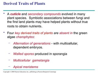 Copyright © 2008 Pearson Education, Inc., publishing as Pearson Benjamin Cummings
Derived Traits of Plants
• A cuticle and secondary compounds evolved in many
plant species. Symbiotic associations between fungi and
the first land plants may have helped plants without true
roots to obtain nutrients.
• Four key derived traits of plants are absent in the green
algae charophytes:
– Alternation of generations - with multicellular,
dependent embryos.
– Walled spores produced in sporangia
– Multicellular gametangia
– Apical meristems
 
