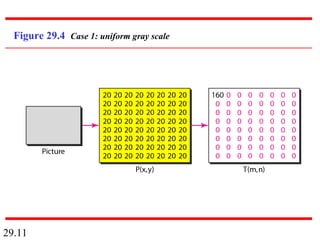 29.11
Figure 29.4 Case 1: uniform gray scale
 