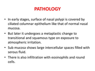 PATHOLOGY
• In early stages, surface of nasal polypi is covered by
ciliated columnar epithelium like that of normal nasal
mucosa.
• But later it undergoes a metaplastic change to
transitional and squamous type on exposure to
atmospheric irritation.
• Sub mucosa shows large intercellular spaces filled with
serous fluid.
• There is also infiltration with eosinophils and round
cells.
 