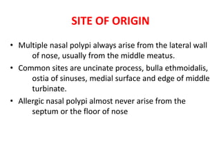 SITE OF ORIGIN
• Multiple nasal polypi always arise from the lateral wall
of nose, usually from the middle meatus.
• Common sites are uncinate process, bulla ethmoidalis,
ostia of sinuses, medial surface and edge of middle
turbinate.
• Allergic nasal polypi almost never arise from the
septum or the floor of nose
 