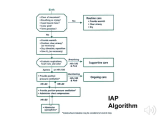 IAP
Algorithm
 