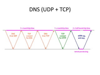 DNS (UDP + TCP)
 