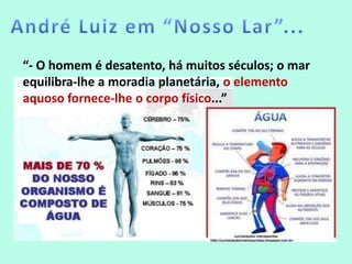 “- O homem é desatento, há muitos séculos; o mar
equilibra-lhe a moradia planetária, o elemento
aquoso fornece-lhe o corpo físico...”

 