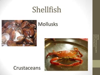 Chef Michael Scott
Lead Chef Instructor AESCA
Boulder

Shellfish
Mollusks

Crustaceans

 