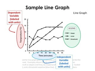 Sample Line Graph
 
