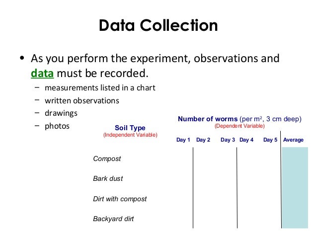 Data Collection Chart