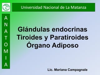 Universidad Nacional de La Matanza

A
N
A   Glándulas endocrinas
T   Tiroides y Paratiroides
O      Órgano Adiposo
M
I
A
                  Lic. Mariana Campagnale
 
