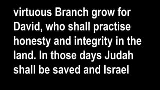 virtuous Branch grow for
David, who shall practise
honesty and integrity in the
land. In those days Judah
shall be saved and Israel
 