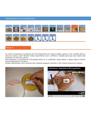 Ubiquidade de microorganismos
Intro
1211
100704
15
02
13
0805
16
03
14
06
17
01
Passo 9
09
Se você for pesquisar a presença de microorganismos em algum objeto, passe-o com cuidado sobre o
meio de cultura, como fizemos neste experimento com o dinheiro. Cuidado para que seus dedos não
encostem no meio de cultura.
Para pesquisar a presença de microorganismos no ar ambiente, basta deixar a placa aberta durante
aproximadamente 5 minutos.
A placa identificada como controle não receberá qualquer amostra e nem mesmo deverá ser aberta.
várias experiências, um só lugar
 