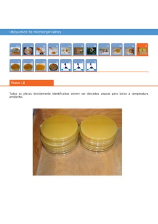 Ubiquidade de microorganismos
Intro
1211
0704
15
02
13
0805
16
03
14
0906
17
01
Passo 10
10
Todas as placas devidamente identificadas devem ser deixadas viradas para baixo a temperatura
ambiente.
várias experiências, um só lugar
 