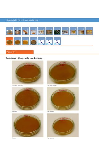 Ubiquidade de microorganismos
Intro
12
100704
15
02
13
0805
16
03
14
0906
17
01
Passo 11
11
Resultados - Observação com 24 horas
Placa água de torneira
Placa terra
Placa ar
Placa dinheiro
Placa controle
Placa água de lago
várias experiências, um só lugar
 