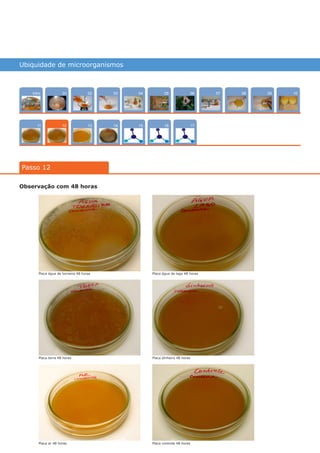 Ubiquidade de microorganismos
Intro
11
100704
15
02
13
0805
16
03
14
0906
17
01
Passo 12
12
Observação com 48 horas
Placa água de torneira 48 horas
Placa terra 48 horas
Placa ar 48 horas
Placa dinheiro 48 horas
Placa controle 48 horas
Placa água de lago 48 horas
várias experiências, um só lugar
 