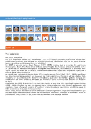 Ubiquidade de microorganismos
Intro
1211
100704
15
02
13
080503
14
0906
17
01
Passo 16
16
Para saber mais
Um pouco de história...
Em 1674 o holandês Antony van Leeuwenhoek (1632 - 1723) criou o primeiro protótipo de microscópio.
Foi ele quem observou pela primeira vez organismos móveis, não vistos a olho nu, em gotas de água,
fezes, material removido dos dentes – os micróbios!
Em 1857 o químico francês Louis Pasteur (1822 -1895) mostrou que a presença de organismos
microscópicos do ar atmosférico era a fonte da ‘contaminação’ dos meios de cultivo em contato com o
ar. Os frascos que não estavam expostos ao ar permaneciam estéreis, enquanto que os expostos, após
algum tempo, entravam em putrefação. Ele também desenvolveu o processo de pasteurização para a
eliminação de microorganismos.
Ao contrário de muitos cientistas do século XIX, o médico alemão Robert Koch (1843 - 1910), acreditava
que algumas doenças pudessem ser causadas por microorganismos. Depois de vários estudos, Koch
descobriu que o agente causador do carbúnculo (doença que estava dizimando o gado na Europa), era
uma bactéria em forma de bastão. Em 1882, ele descobriu o bacilo da tuberculose, denominado de bacilo
de Koch.
Finalmente, em 1928, é descoberto o primeiro antibiótico, a penicilina, pelo escocês Alexander Fleming
(1881 - 1955). Ele observou que, em algumas placas contaminadas com bolor (fungo), as bactérias não
cresciam. É que o fungo ali presente (Penicillium notatum) produzia a penicilina, substância capaz de
inibir crescimento de outros microorganismos.
Desde então, muitas descobertas foram feitas sobre os microorganismos. Hoje em dia nós sabemos que
eles são importantes em vários campos da biotecnologia, incluindo a produção de alimentos, o uso de
transgênicos na agricultura, e até no controle agroecológico de pragas e doenças
várias experiências, um só lugar
 