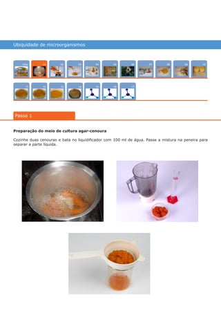 Ubiquidade de microorganismos
Intro
1211
100704
15
02
13
0805
16
03
14
0906
17
Passo 1
01
Preparação do meio de cultura agar-cenoura
Cozinhe duas cenouras e bata no liquidificador com 100 ml de água. Passe a mistura na peneira para
separar a parte líquida.
várias experiências, um só lugar
 