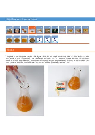 Ubiquidade de microorganismos
Intro
1211
100704
15
02
13
0805
1614
0906
17
01
Passo 3
03
Complete o volume para 200 ml com água e meça o pH (você pode usar uma fita indicadora ou uma
solução de azul de bromotimol). Ele deve estar em torno de 7,0. Caso não esteja, ajuste o pH utilizando
gotas de limão (solução ácida) ou solução de bicarbonato de sódio (solução básica). Tampe o frasco com
uma rolha de algodão hidrofóbico e coloque um pedaço de papel craft por cima.
várias experiências, um só lugar
 