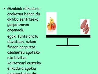 Gizakiak elikadura orekatua behar du aktibo sentitzeko, gorputzaren organoek,  egoki funtzionatu dezateen, azken finean gorputza osasuntsu egoteko eta bizitza kalitateari eusteko elikadura egokia ezinbestekoa da 