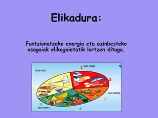 Elikadura: Funtzionatzeko energia eta ezinbesteko osagaiak elikagaietatik lortzen ditugu. 