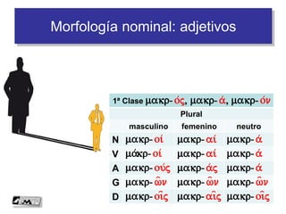 Morfología nominal: adjetivos
1ª Clase makr-o/j, makr-a/ , makr-o/n
Plural
masculino femenino neutro
N makr-oi/ makr-ai/ makr-a/
V makr-oi/ makr-ai/ makr-a/
A makr-ou/j makr-a/j makr-a/
G makr-w=n makr-w=n makr-w=n
D makr-oi=j makr-ai=j makr-oi=j
 
