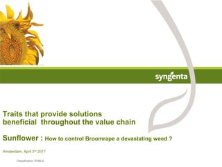 Traits that provide solutions
beneficial throughout the value chain
Sunflower : How to control Broomrape a devastating weed ?
Amsterdam, April 3rd 2017
Classification: PUBLIC
 
