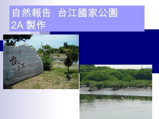自然報告 台江國家公園
2A 製作
 