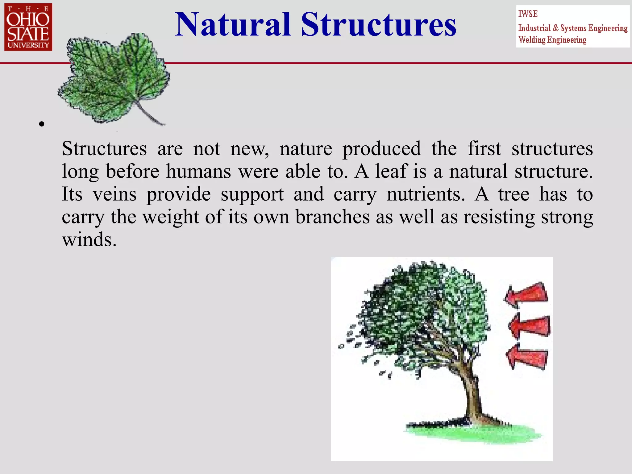 Natural Structures
•
Structures are not new, nature produced the first structures
long before humans were able to. A leaf is a natural structure.
Its veins provide support and carry nutrients. A tree has to
carry the weight of its own branches as well as resisting strong
winds.
 