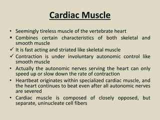 Cardiac Muscle
• Seemingly tireless muscle of the vertebrate heart
 Combines certain characteristics of both skeletal and
smooth muscle
 It is fast acting and striated like skeletal muscle
 Contraction is under involuntary autonomic control like
smooth muscle
• Actually the autonomic nerves serving the heart can only
speed up or slow down the rate of contraction
• Heartbeat originates within specialized cardiac muscle, and
the heart continues to beat even after all autonomic nerves
are severed
• Cardiac muscle is composed of closely opposed, but
separate, uninucleate cell fibers
 