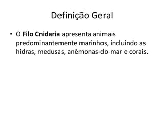 Definição Geral
• O Filo Cnidaria apresenta animais
predominantemente marinhos, incluindo as
hidras, medusas, anêmonas-do-mar e corais.
 