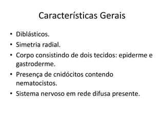 Características Gerais
• Diblásticos.
• Simetria radial.
• Corpo consistindo de dois tecidos: epiderme e
gastroderme.
• Presença de cnidócitos contendo
nematocistos.
• Sistema nervoso em rede difusa presente.
 