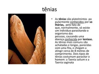 tênias
• As tênias são platelmintos po
pularmente conhecidos por so
litárias, pelo fato de
que, normalmente, só existe
um indivíduo parasitando o
organismo das
pessoas, causando uma
doença conhecida por teníase.
As tênias mais comuns são
achatadas e longas, parecidas
com uma fita, e chegam a
atingir cerca de 8 metros de
comprimento. Dois tipos de
tênias costumam parasitar o
homem: a Taenia solium e a
Taenia saginata
 