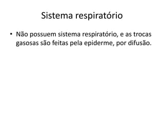 Sistema respiratório
• Não possuem sistema respiratório, e as trocas
gasosas são feitas pela epiderme, por difusão.
 