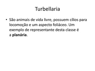 Turbellaria
• São animais de vida livre, possuem cílios para
locomoção e um aspecto foliáceo. Um
exemplo de representante desta classe é
a planária.
 